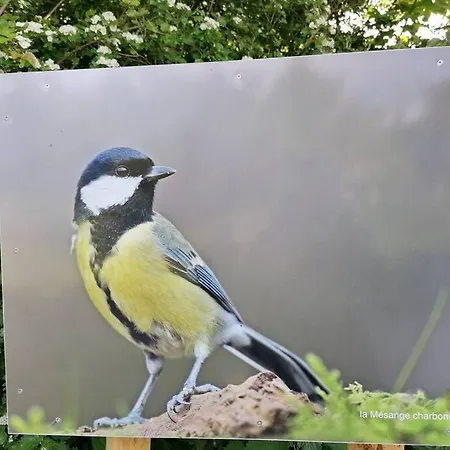 Maison Entiere La Longe'yeres Nyaraló *