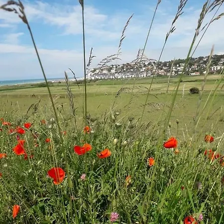 Maison Entiere La Longe'yeres Saint-Martin-le-Gaillard