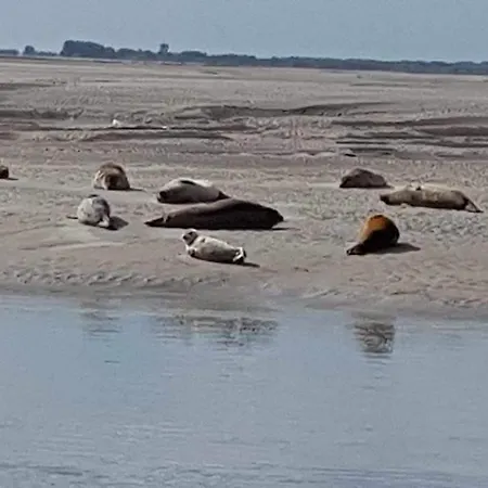 Maison Entiere La Longe'yeres 度假居