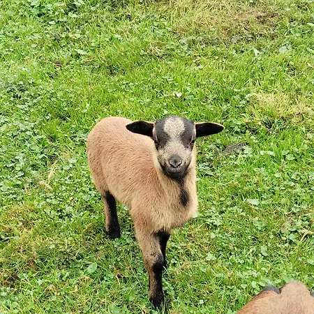 Maison Entiere La Longe'yeres * Saint-Martin-le-Gaillard