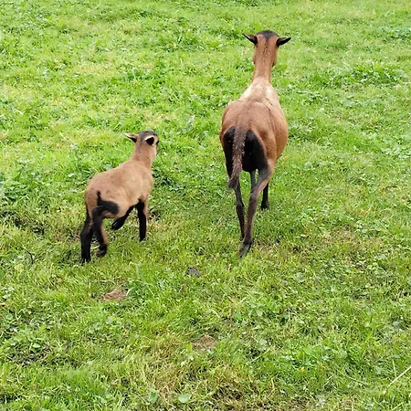 Maison Entiere La Longe'yeres