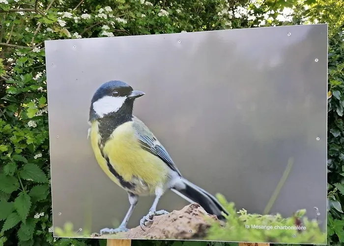 Maison Entiere La Longe'yeres Holiday home *