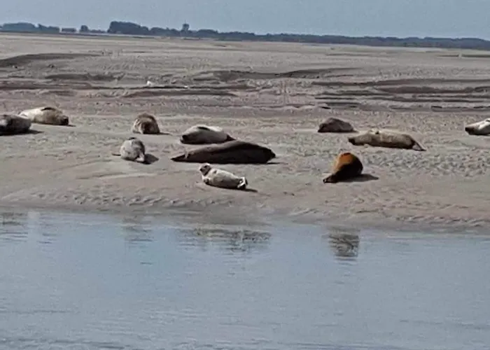 Maison Entiere La Longe'yeres Holiday home