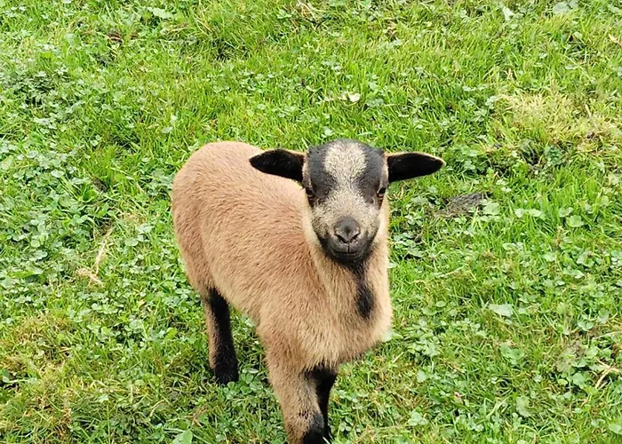 Maison Entiere La Longe'yeres * Saint-Martin-le-Gaillard