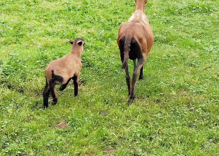 Maison Entiere La Longe'yeres